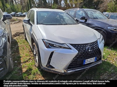 Lexus UX LP hybrid business 2wd -