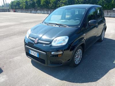 Fiat Panda 1.0 FireFly 70cv S&S Hybrid, 2023