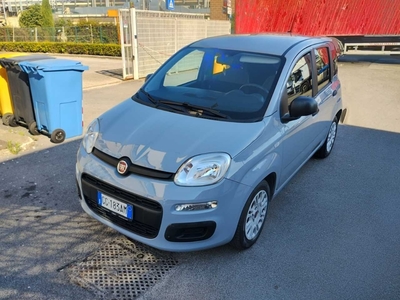 Fiat Panda 1.0 FireFly 70cv S&amp;S Hybrid, 2021