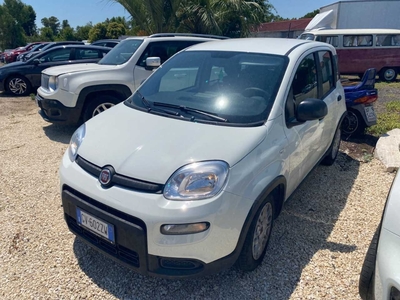 Fiat Panda 1.0 FireFly 70cv S&amp;S Hybrid, 2024