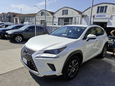 Lexus NX Hybrid Business 2WD, 2021
