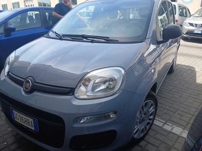 Fiat Panda 1.0 FireFly 70cv S&amp;S Hybrid, 2021