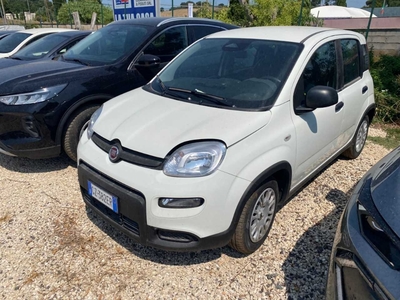 Fiat Panda 1.0 FireFly 70cv S&S Hybrid, 2025