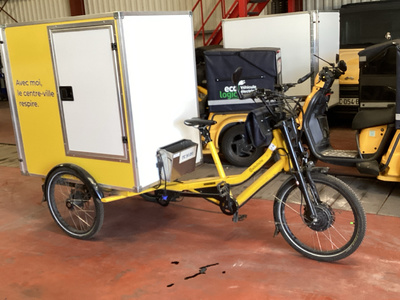 Radkutsche Vélo CARGO STANDARD N°01