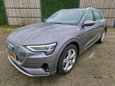 Audi e-tron 50 quattro Bns ed+