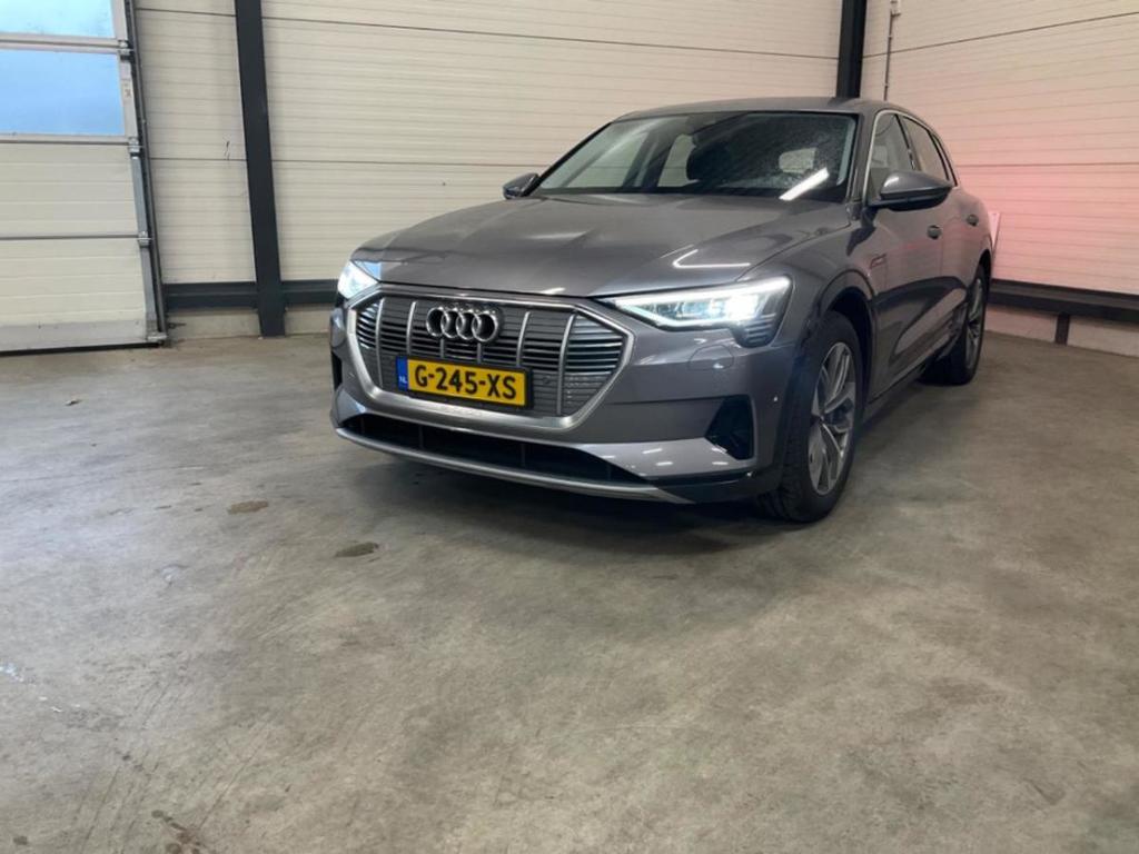 AUDI e-tron e-tron 55 q. adv.