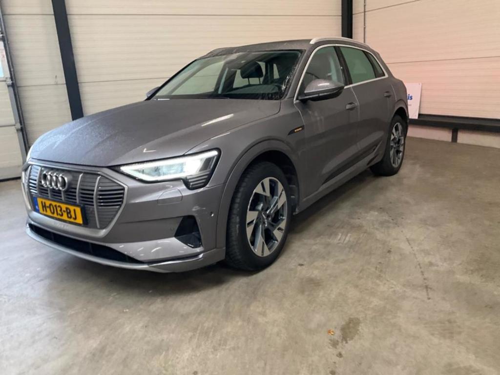 Audi e-tron e-tron 50 q L Ed +