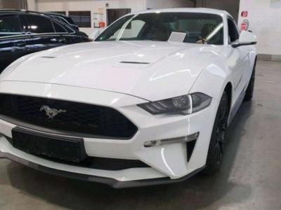 Ford MUSTANG 2.3 EcoBoost Auto
